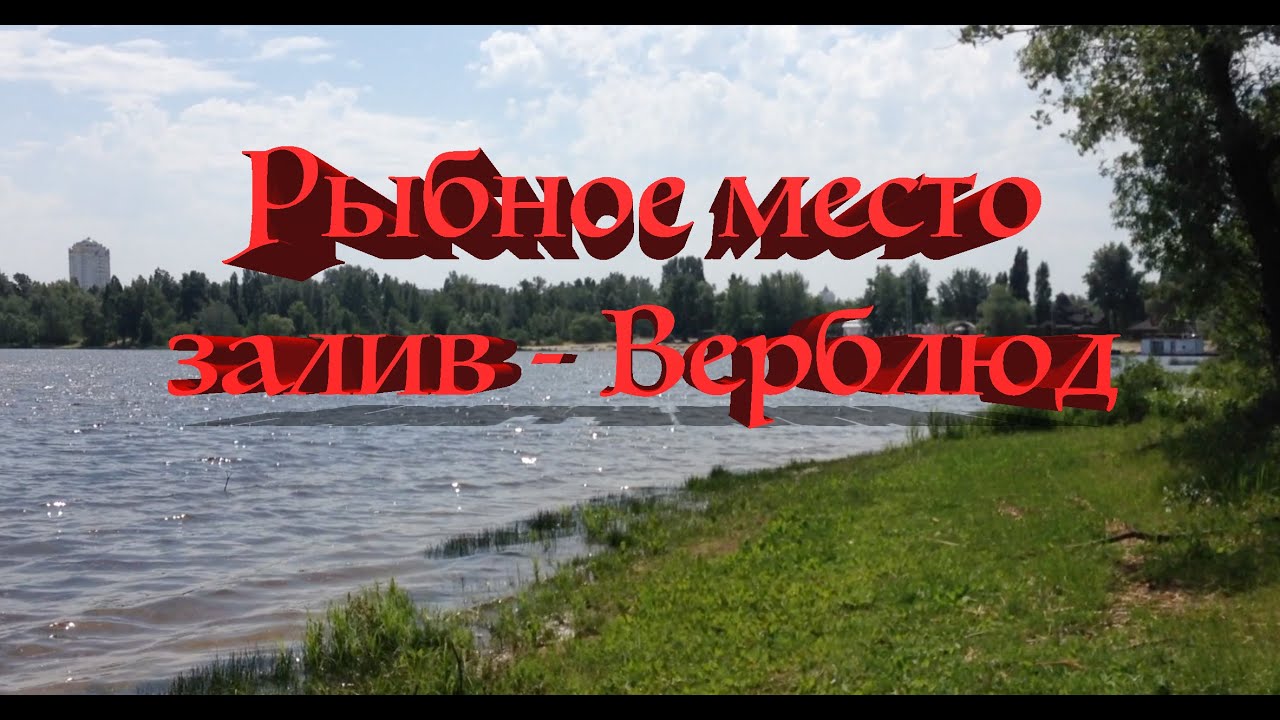 Рыбное место -Залив Верблюд .29 мая
