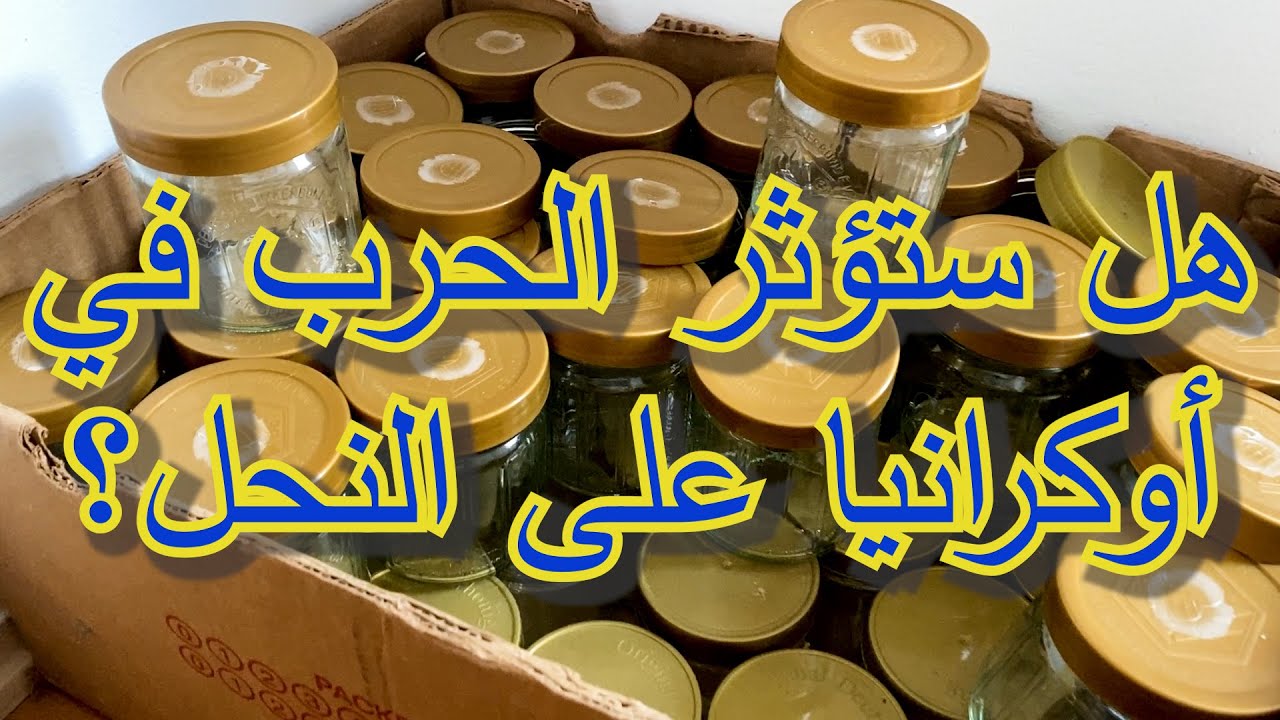 هل ستؤثر الحرب في أوكرانيا على النحل ؟