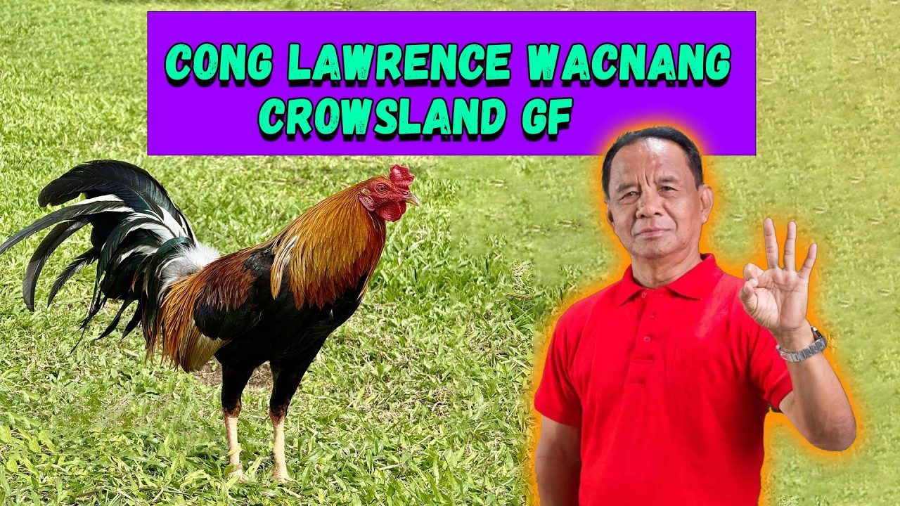 Bakbakan Na! Cong Lawrence Wacnang