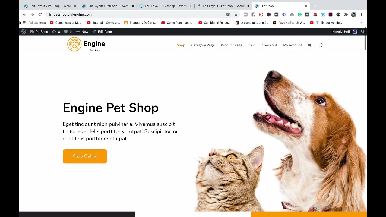 Cómo modificar la página de tienda y cambiar el diseño de los productos en Divi y WooCommerce
