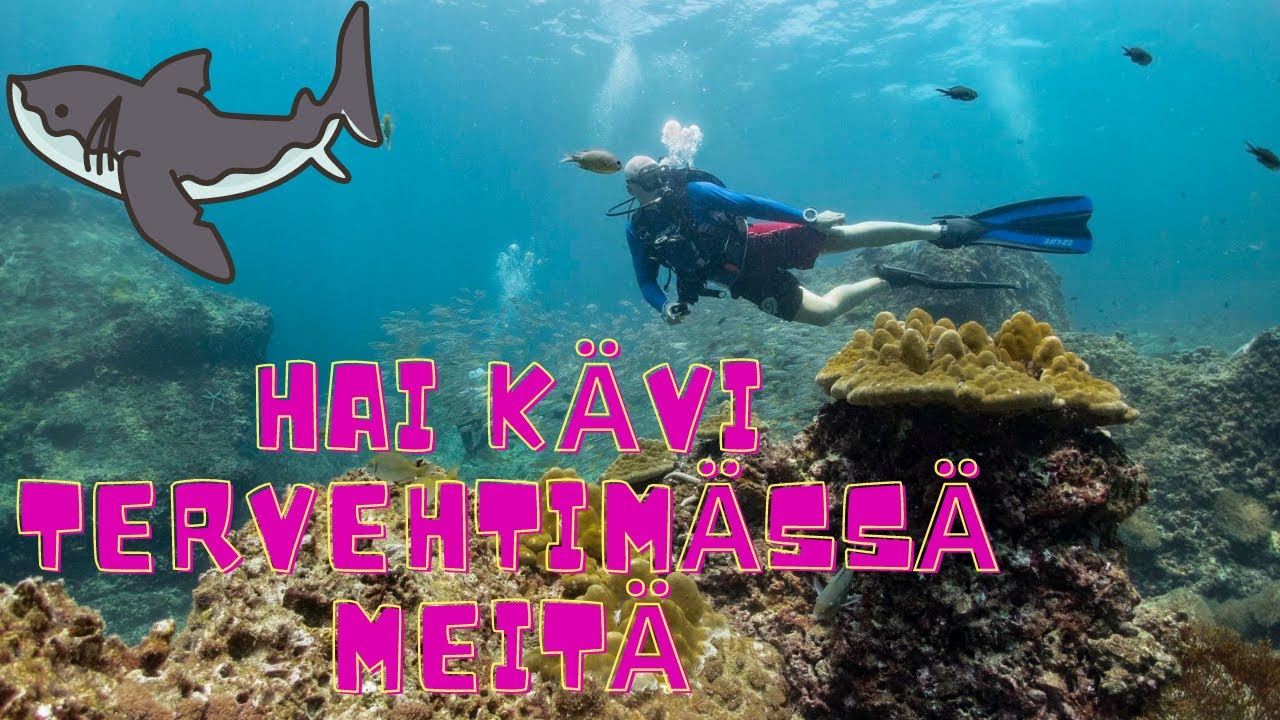 Sukellusta Thaimaassa!