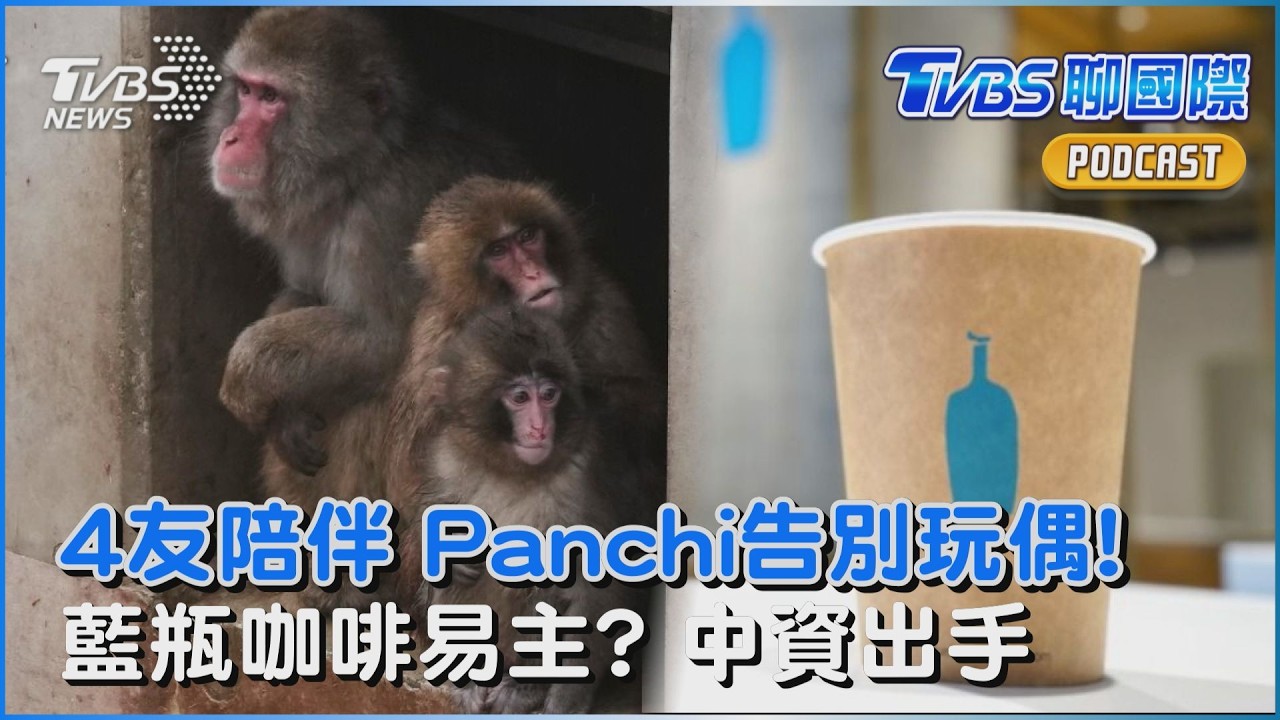 日本小猴Panchi告別娃娃轉大人?回歸同伴生活 中資出手!藍瓶咖啡換老闆「平價+精品」雙品牌布局｜TVBS聊國際PODCAST@tvbsnews24live