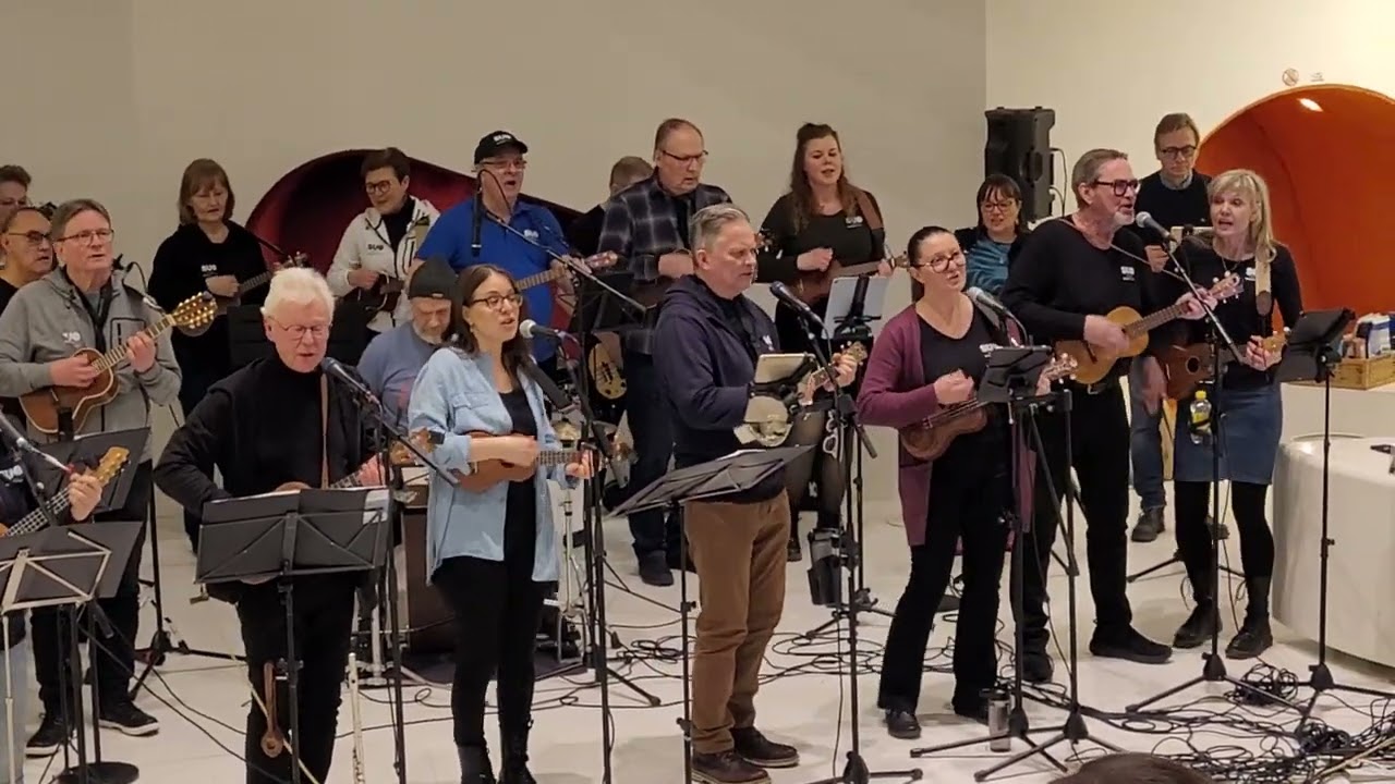 SUO eli Seinäjoen Ukuleleorkesteri - Mallaskosken keikka @seinajoenukuleleorkesteri_5193 