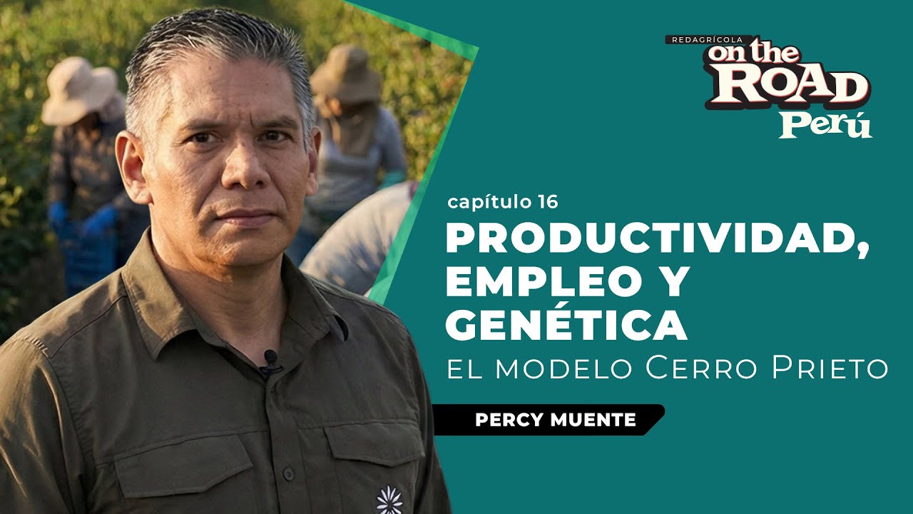 Cerro Prieto: productividad, empleo y gen&eacute;tica para competir en la agroexportaci&oacute;n | On The Road