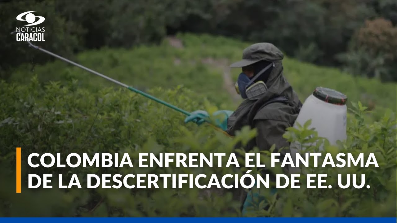 Expectativa por decisión de EEUU frente a la lucha antidrogas en Colombia: estos son los escenarios