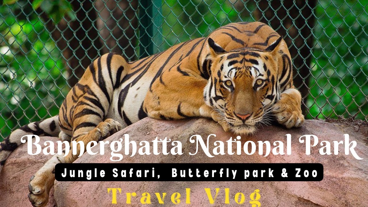 BANNERGHATTA NATIONAL PARK | Jungle Safari | Pahadi Travel Vlog | Bangalore Vlogs | After Corona😊