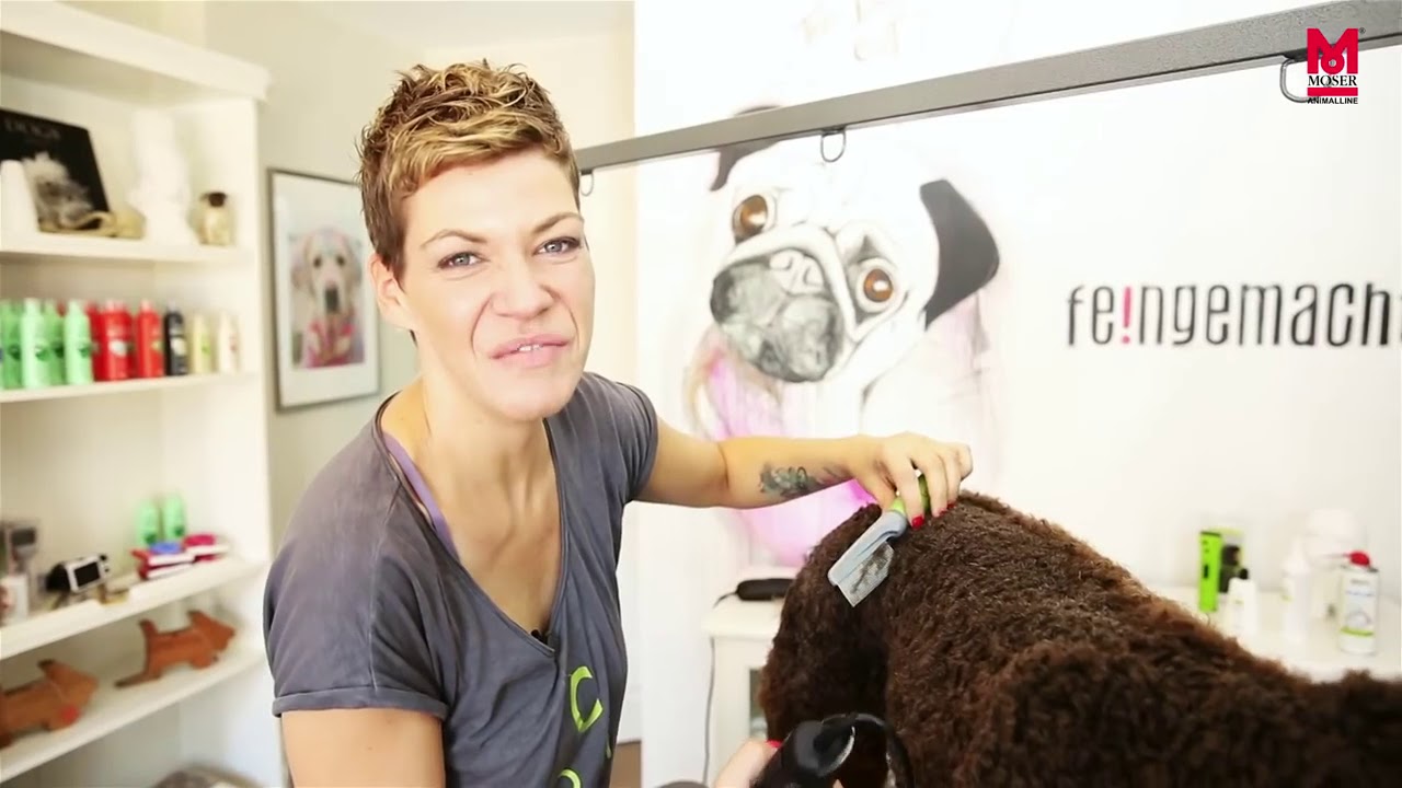 Moser Max50 - Práctica con la estilista canina profesional Franziska Knabenreich / SUB ES