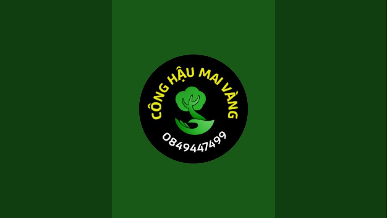 Công Hậu Mai Vàng 71 đang phát trực tiếp!