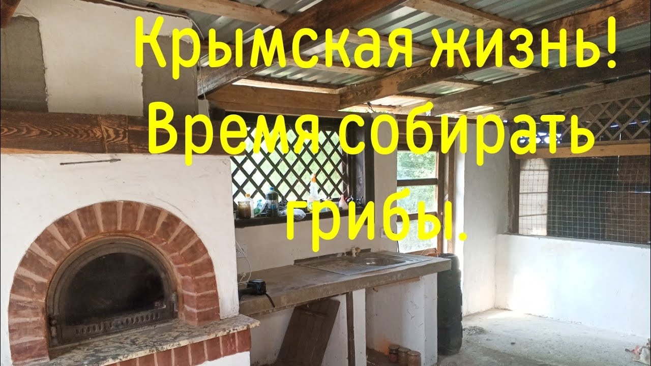 12 октября 2025 г.Крымская жизнь! Время собирать грибы!