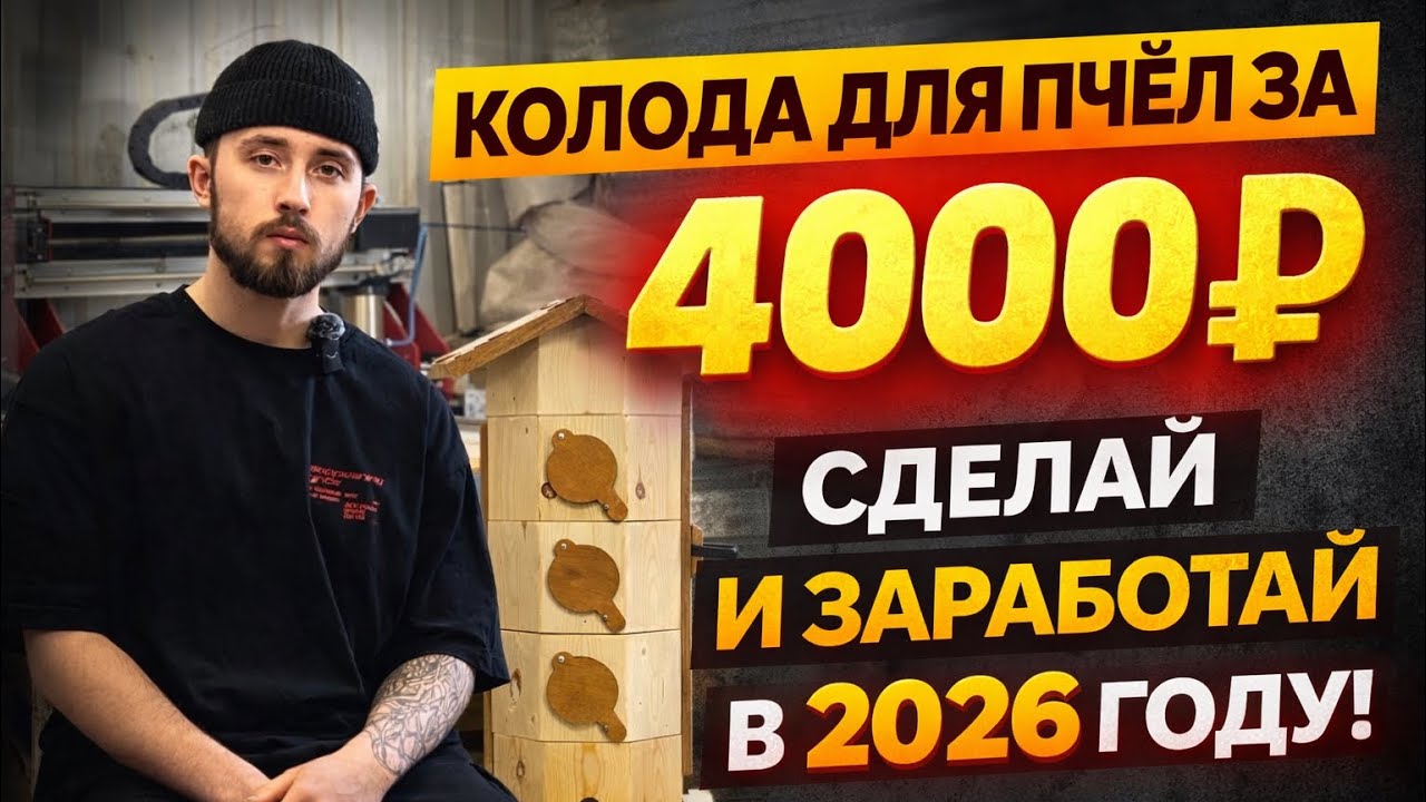 Колода для пчёл за 4000 рублей. Сделай и заработай в 2026 году!