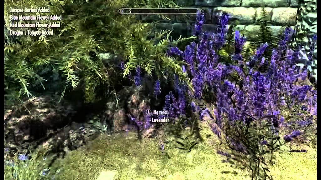 Skyrim - Soldier's 