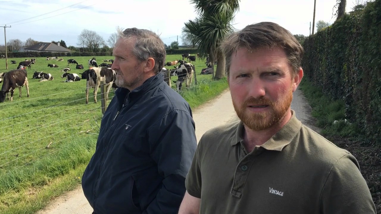 GII Monitor Farmers Darren and Eamonn Healy provide an update from their farm