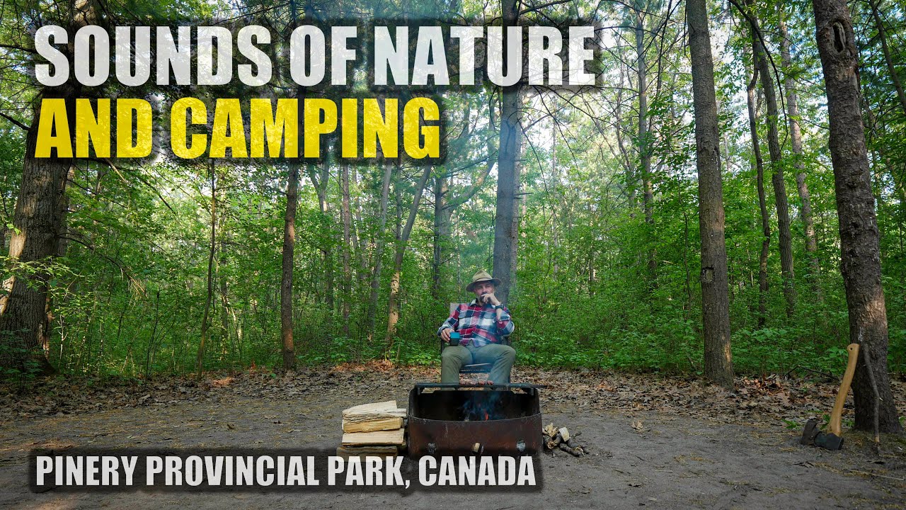 Sounds of Camping in Canada at Pinery Provincial Park [ASMR Version, Birds Chirping, Camp Cooking]