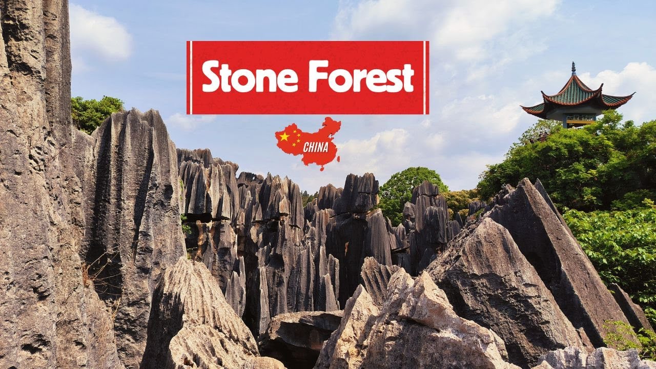 Kunming STONE FOREST (China 🇨🇳): come visitarla senza tour organizzati