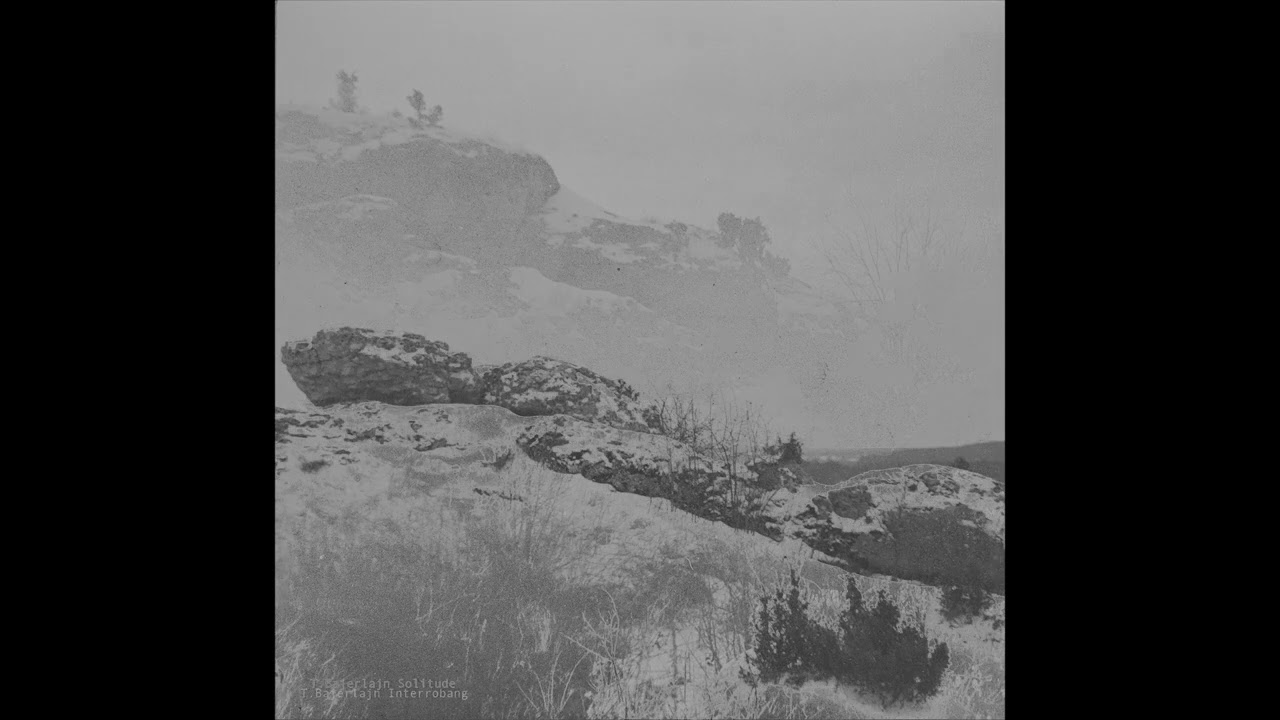 T. Bajerlajn - Solitude