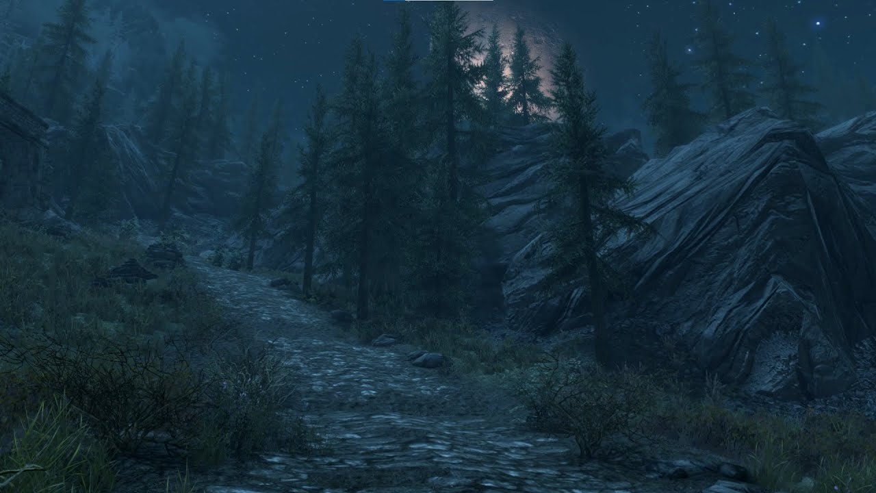 Walking in Skyrim - Windhelm to Whiterun - Music & Ambient