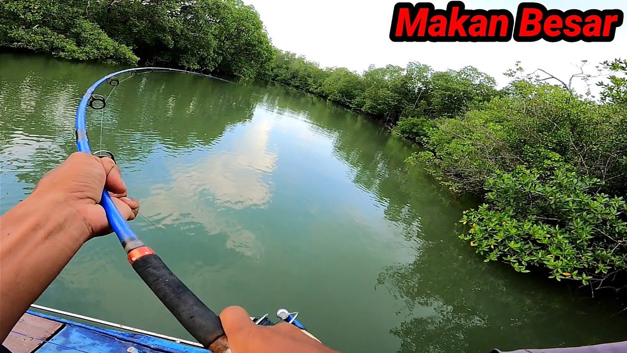 Luar Biasa ikan Besar Yg Satu ini,, Tarikanya 100% Bikin Panik