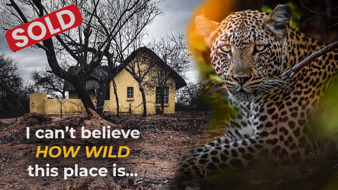 I bought my DREAM African bush home, but it needs serious WORK!