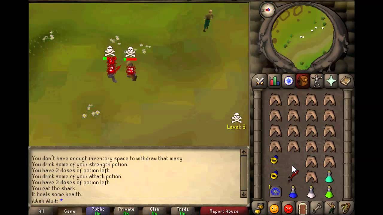60 attack dscim,dds pure pking 2007 old servers!
