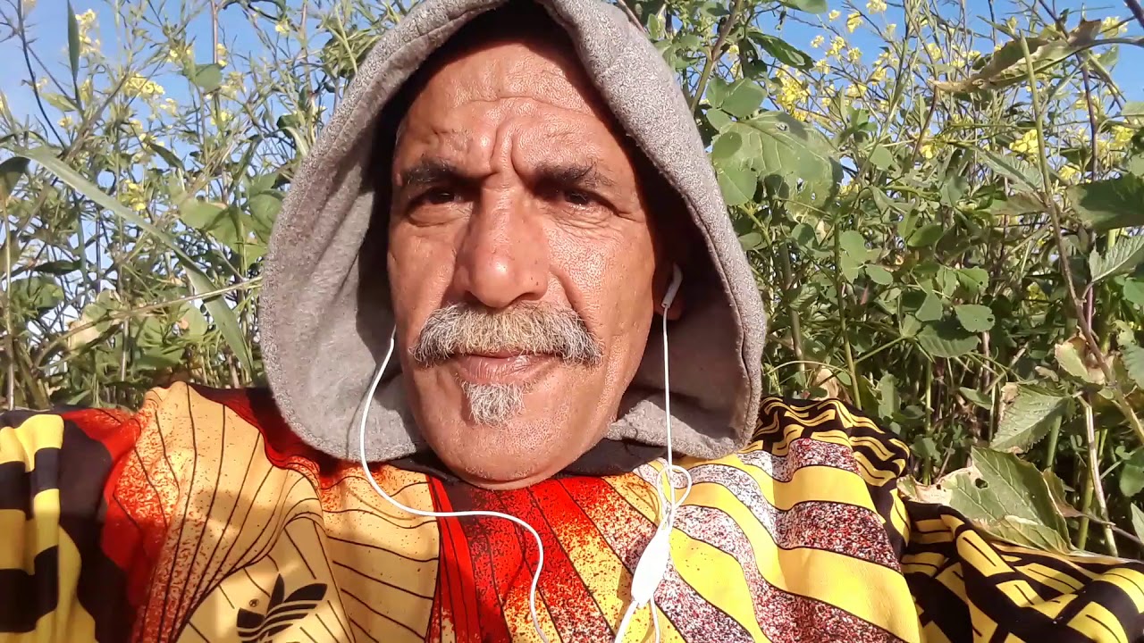 فيروس كورونا ورذ على مي ربيعة🐅🐅🐅💪