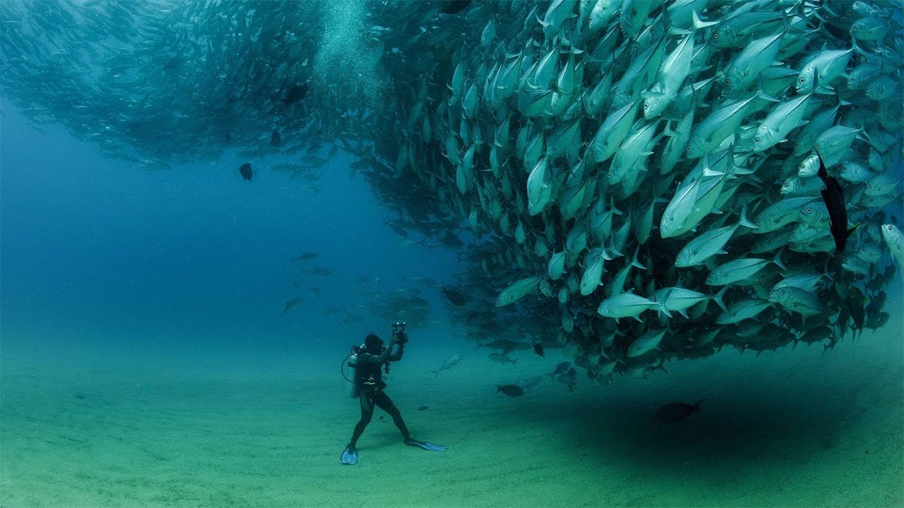World's Most amazing Photos of All Time | Most Powerful Photos