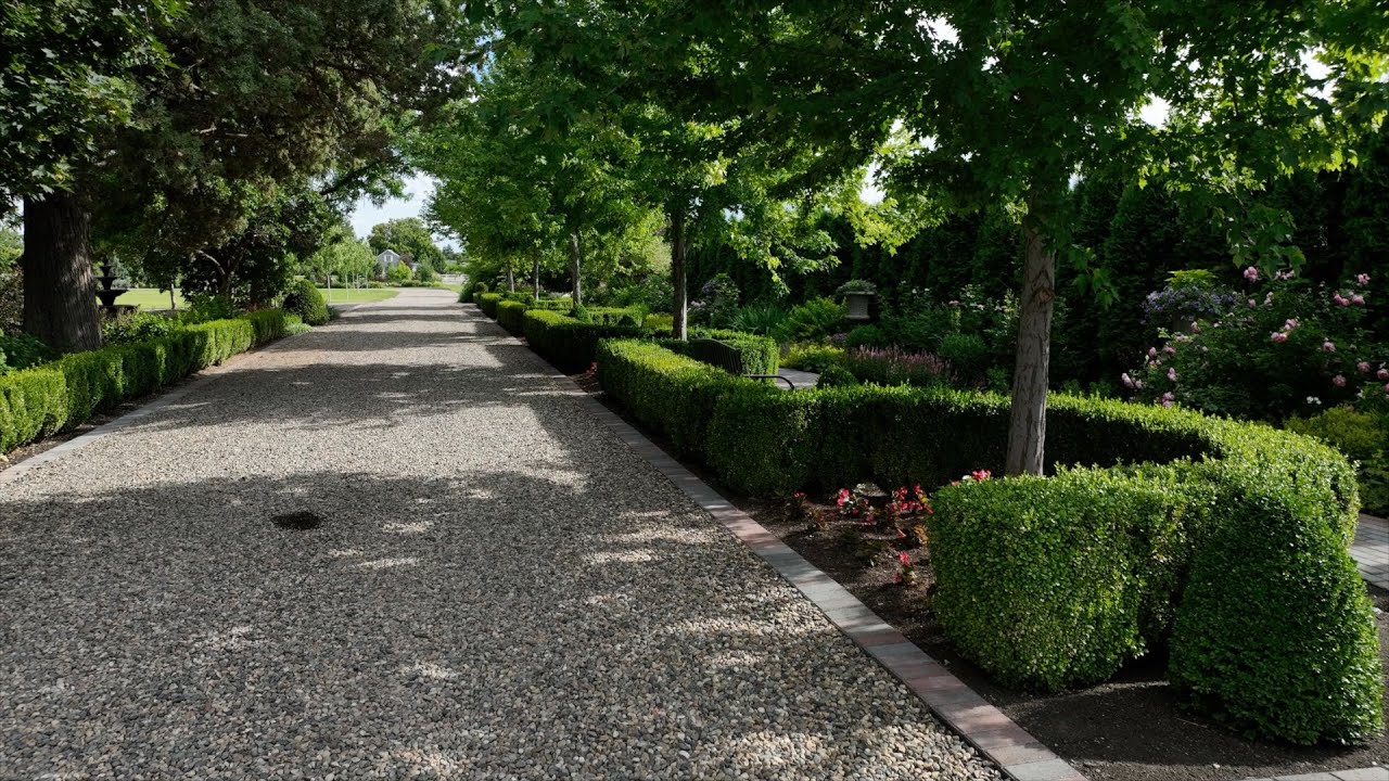 Amazingly Versatile Plants that Thrive in Sun -OR- Shade! 🌿😎🙌 // Garden Answer