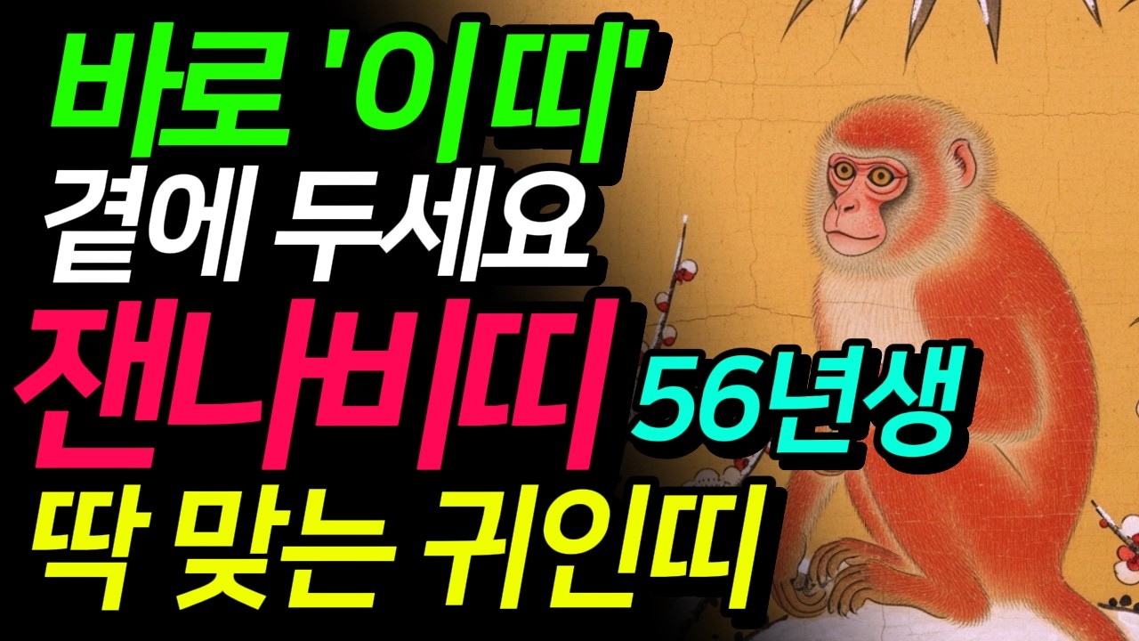 (충격 반전) 56년 원숭이띠 2026 '이 띠'가 옆에 있다면 축하드립니다 병신생 녹아내릴 것인가 보석이 될 것인가