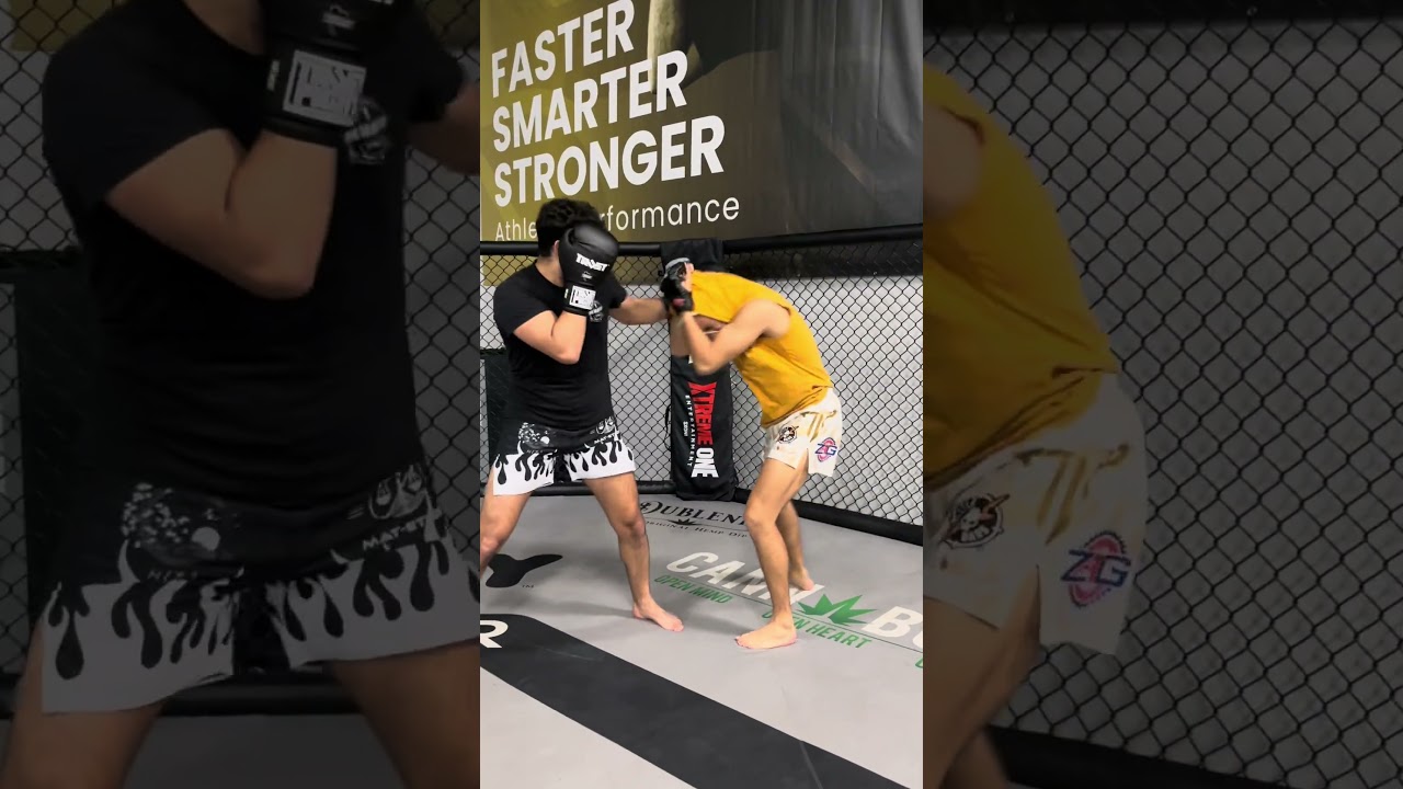 Who won? #mma #bjj #ufc