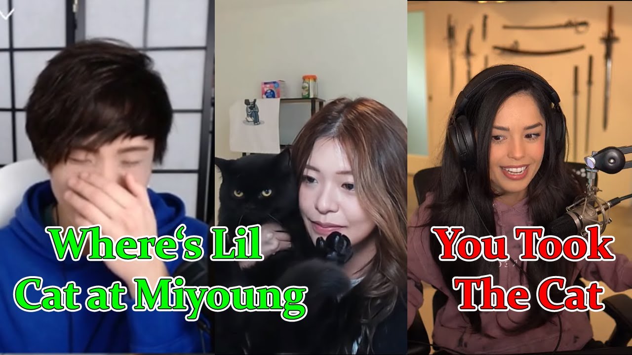 Sykkuno and Miyoung Competing Over Lil Cat