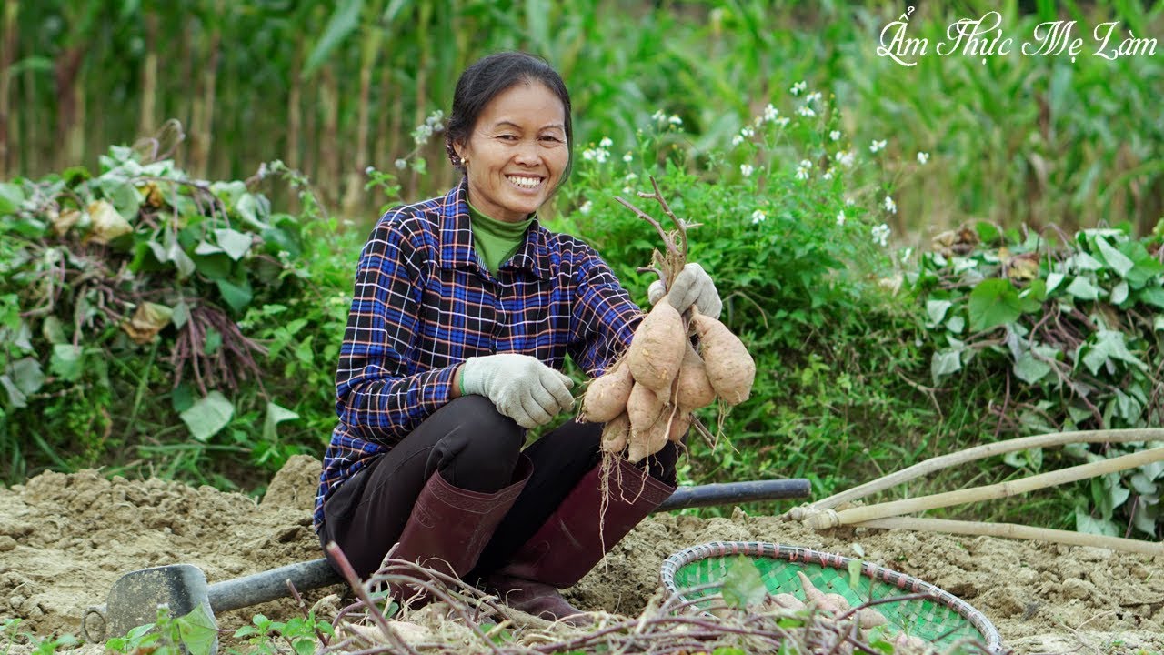 Khoai lang luộc, khoai lang chi&ecirc;n cho m&ugrave;a đ&ocirc;ng ấm &aacute;p ( Dishes From Sweet Potato ) I Ẩm Thực Mẹ L&agrave;m