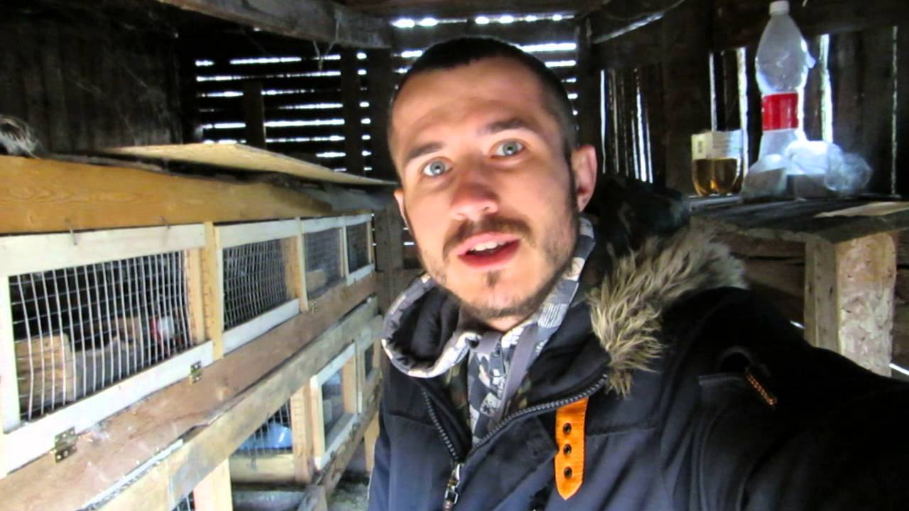 Кроликоферма. Неделя дождей и интенсивной работы.