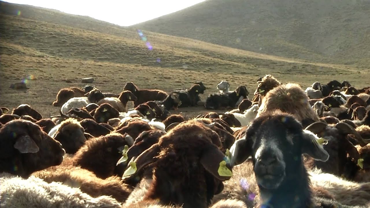çemçe yaylası