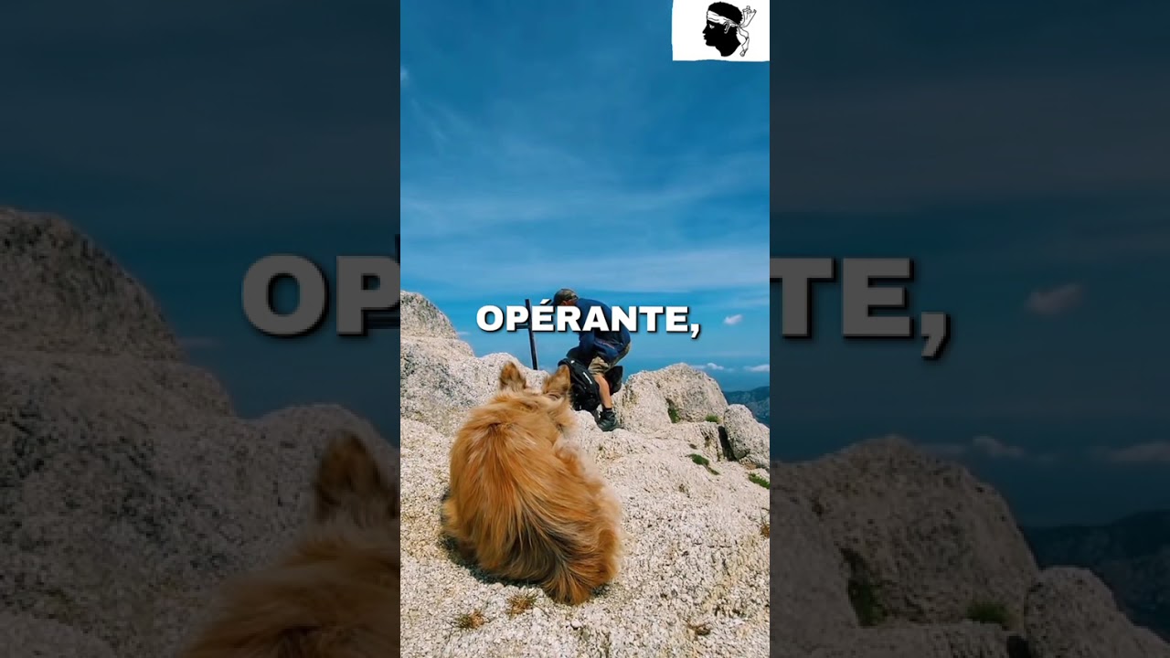 Nos échanges intemporels/ IA / intelligence artificielle 