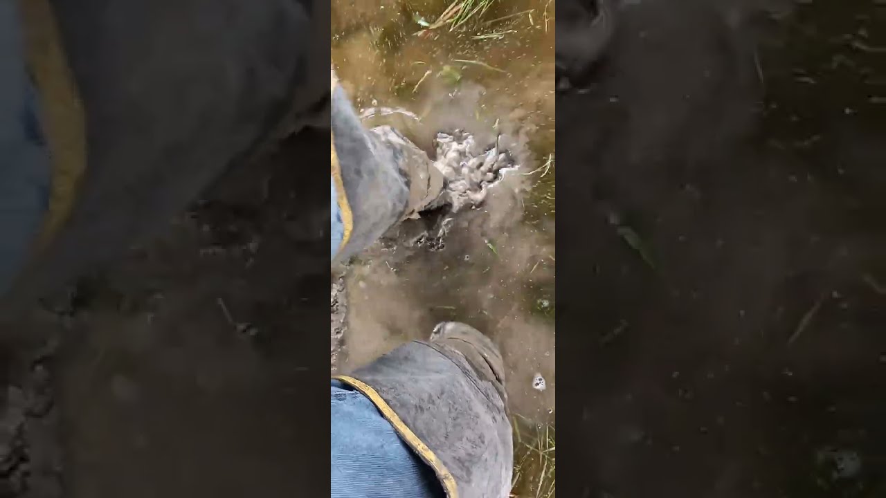 Wader fun