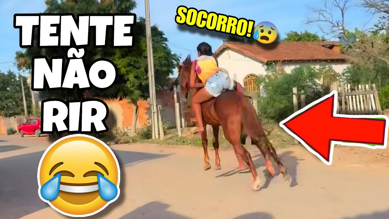 TENTE NÃO RIR: OS MELHORES VÍDEOS DA INTERNET #videosengracados #tentenaorir #humor #comedia #tiktok