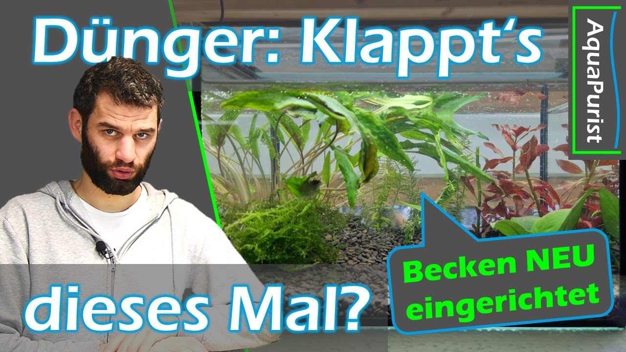 D&uuml;nger Experiment: Diesmal RICHTIG?! - Becken NEU einrichten & mehr verschiedene Pflanzen