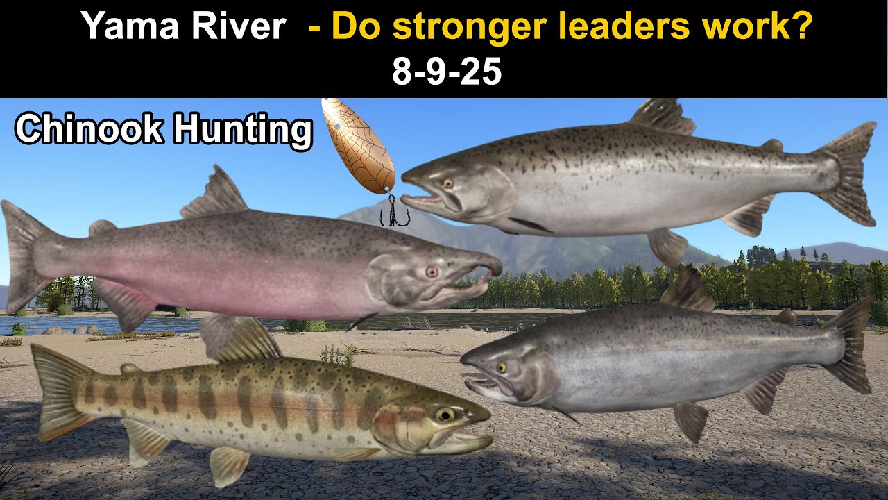 Russian Fishing 4, Yama River  - Do stronger leaders work? 8-9-25