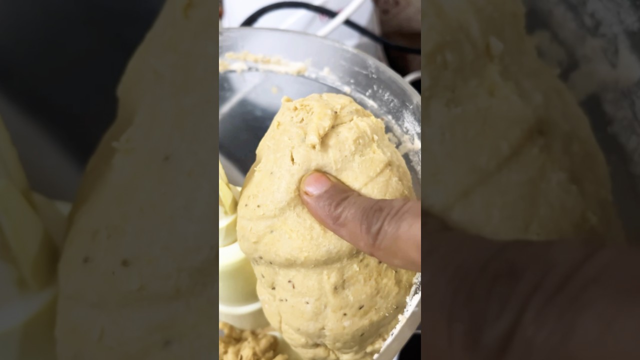 bajaj food processer atta kneder 