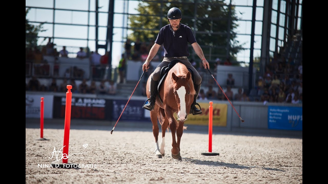 MUSTANG MAKEOVER 2019 - 6. Platz - Team Walter
