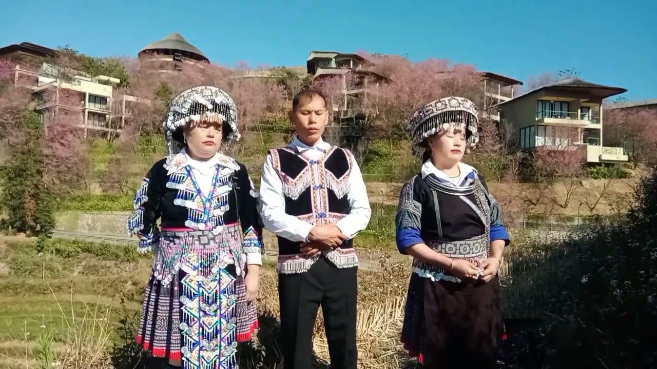 Tsu yaj xub yaj mim lis lug txiaj rov tawm tshiab zoo kawg li