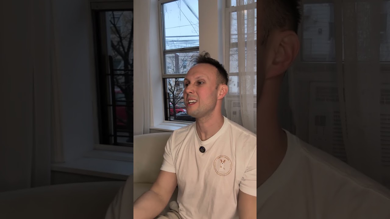 What is Balanced Training? (And why "Positive Only" isn't always enough)