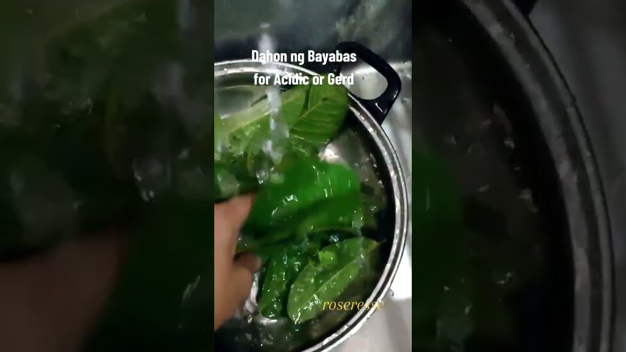 guava leaves benefits 