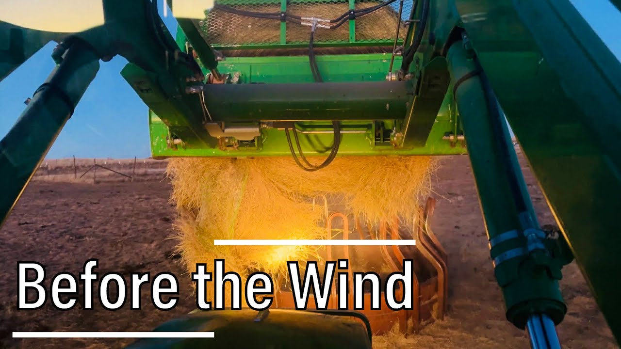 Ranch Chores Before 60 MPH Winds Hit | Eggs, Mineral, Feed & the Farm Store
