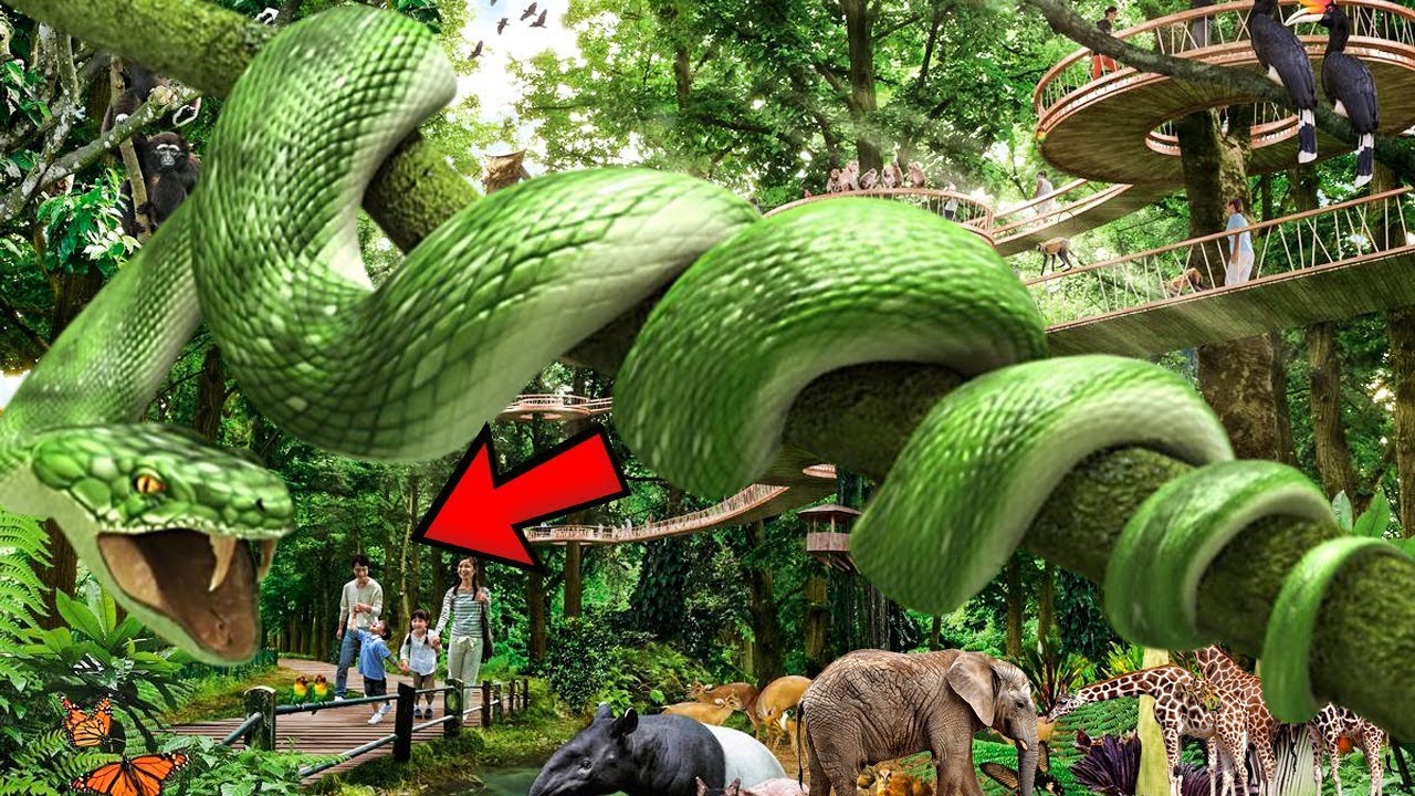 CRAZY Mandai Rejuvenation Project