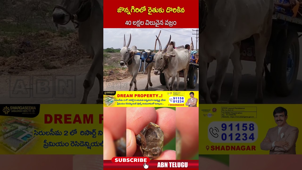 జొన్నగిరిలో రైతుకు దొరికిన 40 లక్షల విలువైన వజ్రం | #kurnool #jonnagiri #farmers #diamond | ABN