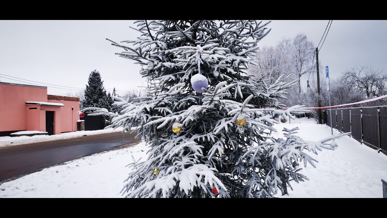 Winter in Latvia | Darzini Village Walk - Part 3 | Cozy Relaxing POV