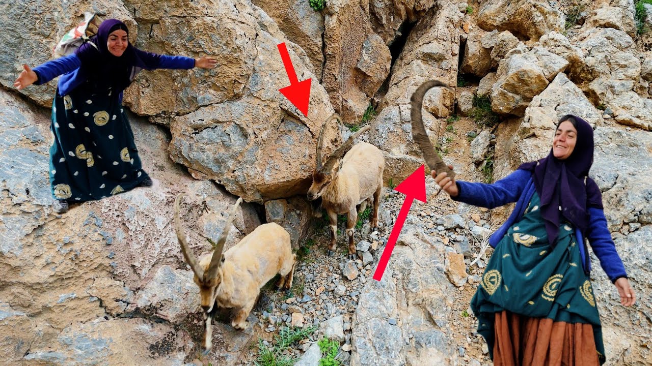 A nomadic couple hunting antelopes in the Zagros Mountains - this video is really worth watching🐐