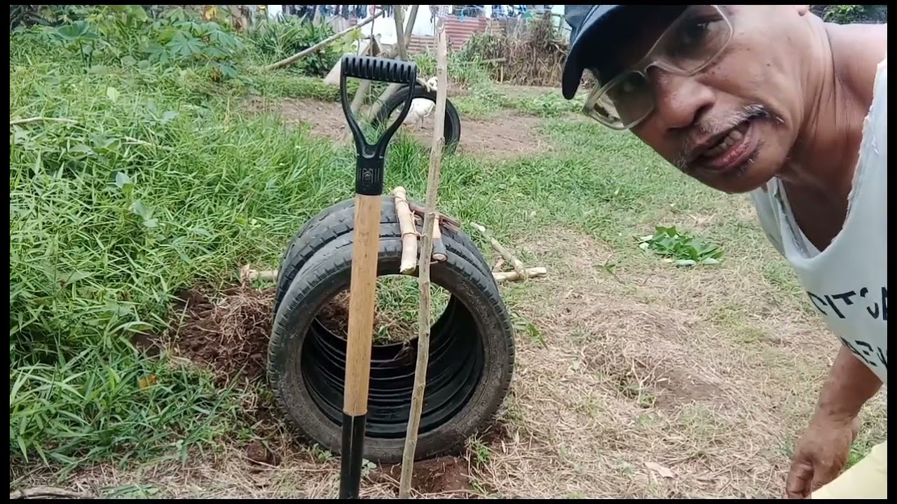 diy:gulong ng motor pwedeng silungan ng manok @tata breed