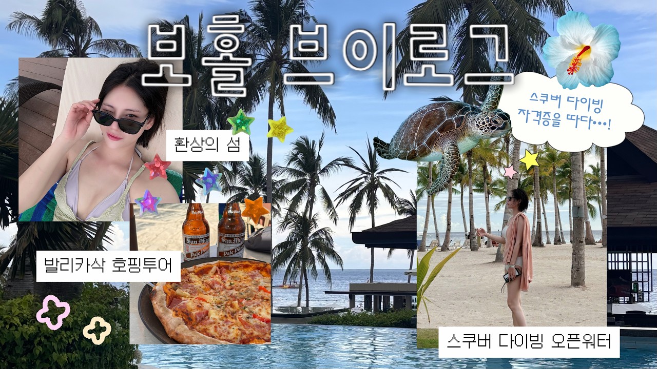 🇵🇭 필리핀 보홀 여행 브이로그 (📍구글맵 공유) 🐢 스쿠버다이빙 오픈워터 자격증 후기 🤿 로컬페이지 호핑투어까지! 매일 매일 거북이 보고 옴 💚