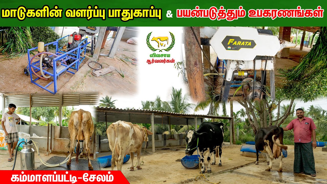 மாடு வளர்ப்புக்கு பயன்படும் உபகரணங்கள் & வளர்ப்பு பாதுகாப்பு பற்றிய விளக்கம் #vivasayaarvalargal